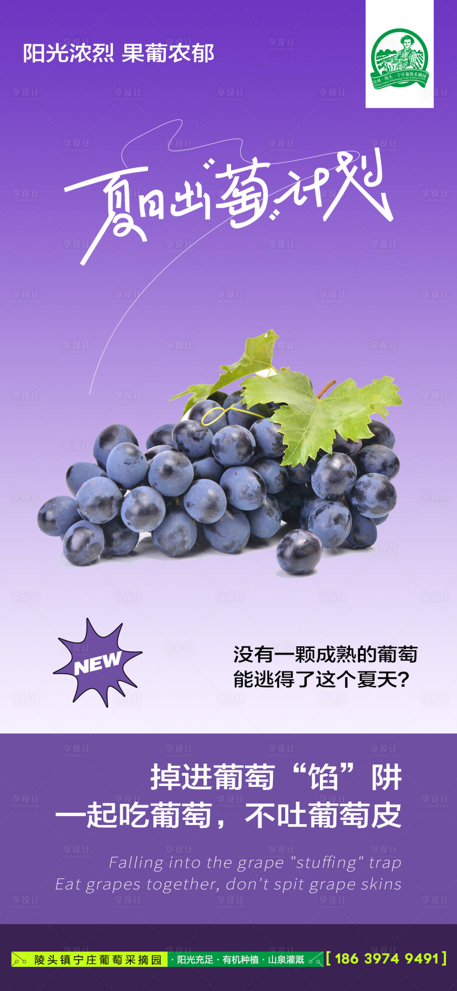 源文件下載【享設(shè)計】搜索編號：11230016850788471【水果海報】