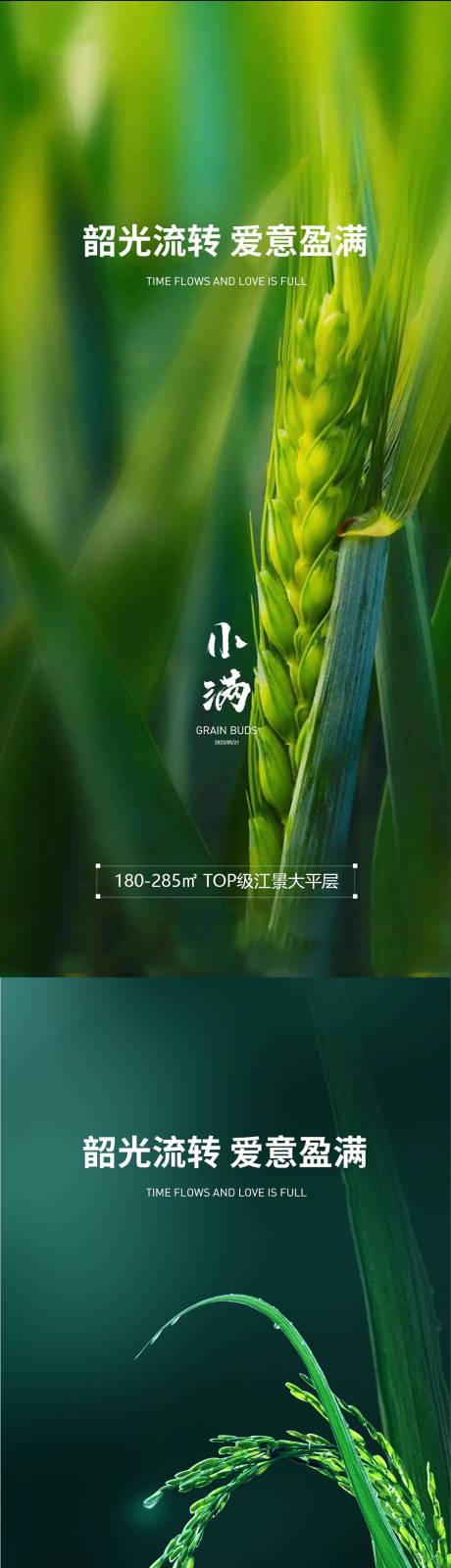 源文件下載【小滿節氣系列海報】編號：33230016707989929