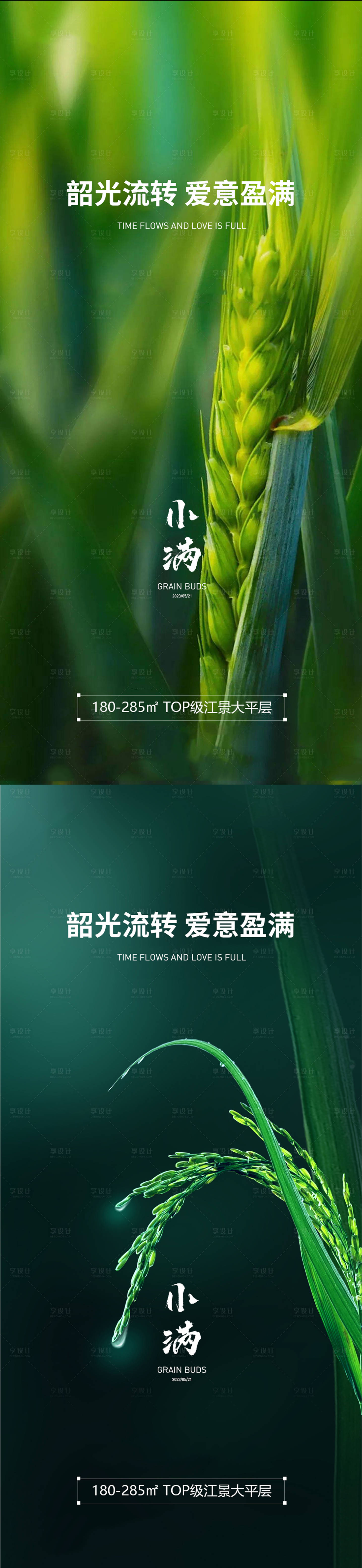 源文件下载【享设计】搜索编号：33230016707989929【小满节气系列海报】