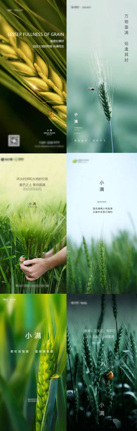 源文件下载【小满节气海报】编号：88140016759558931
