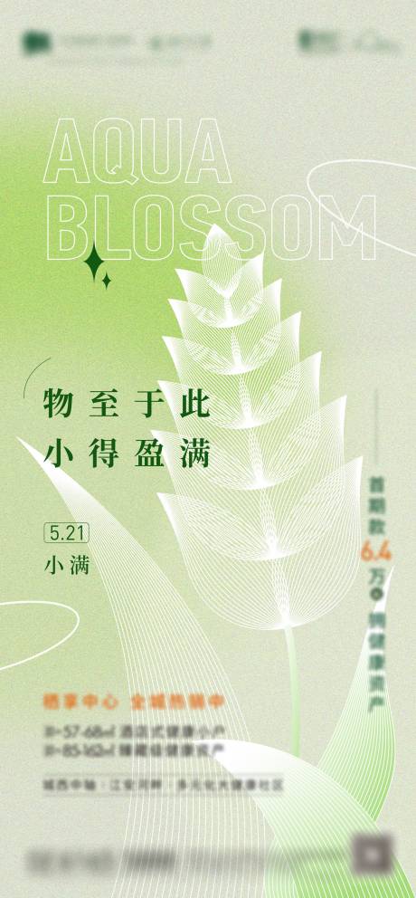 源文件下载【地产小满节气海报】编号：75510016759753148