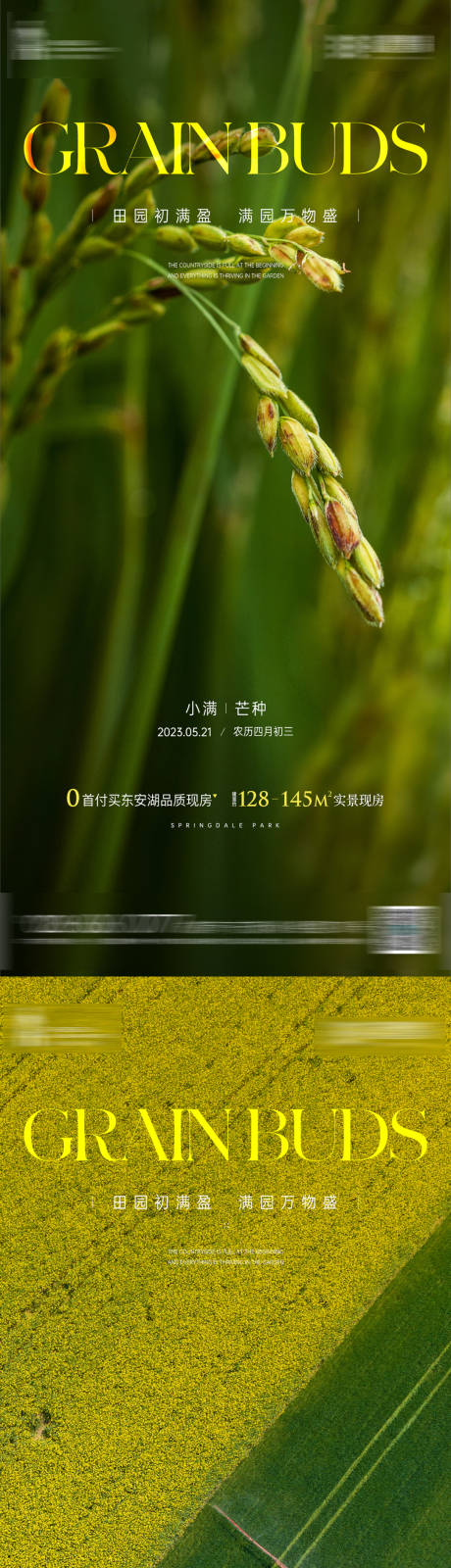 源文件下载【小满节气海报】编号：64550016657663290