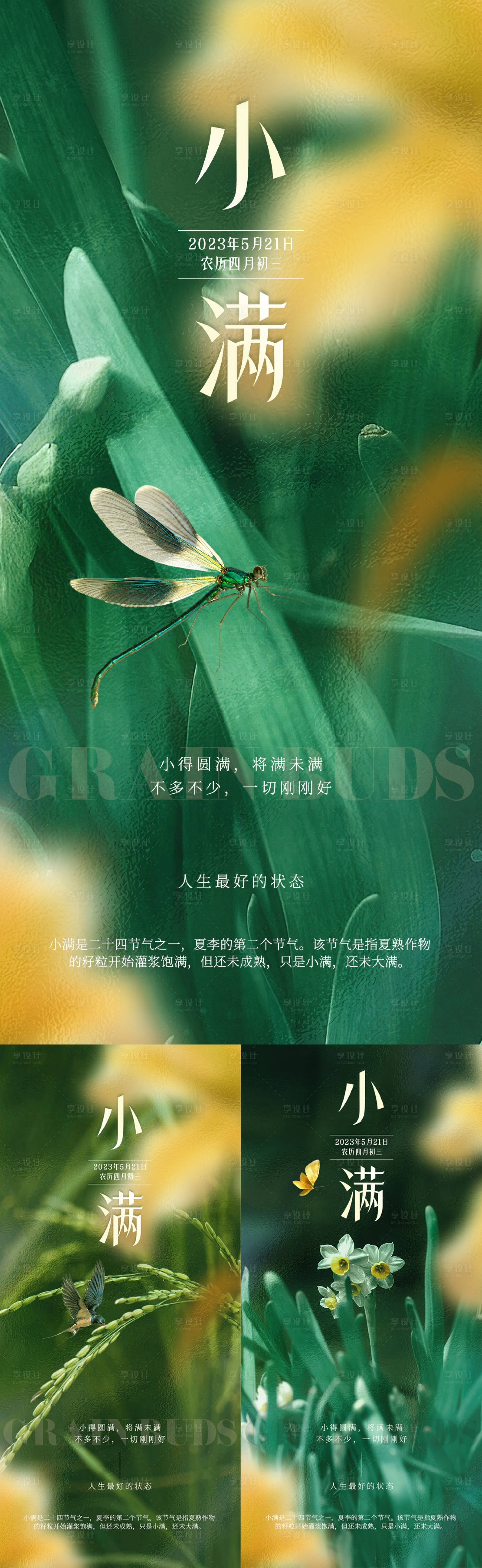 源文件下載【享設計】搜索編號：50160016599602282【小滿節氣海報】