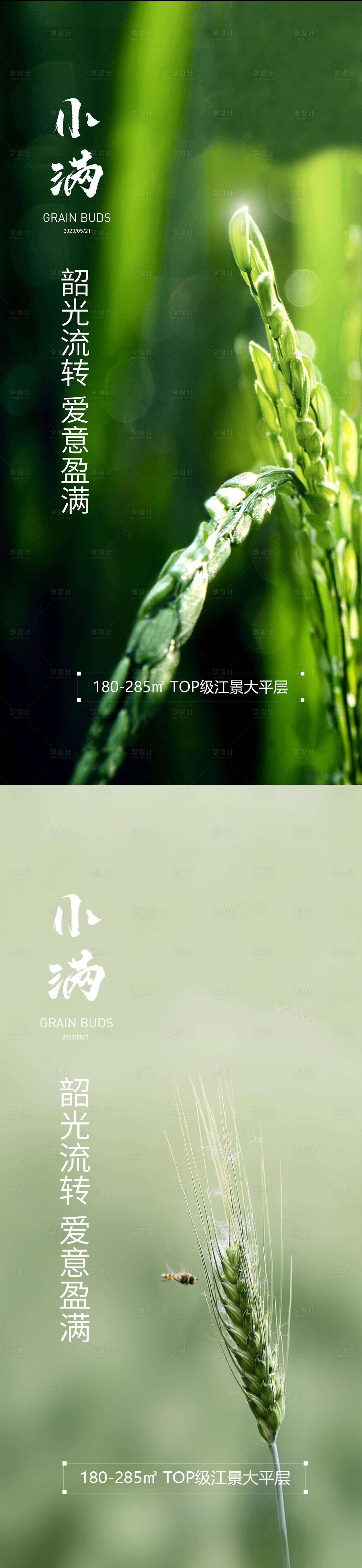 源文件下载【享设计】搜索编号：37660016708004781【小满节气系列海报】