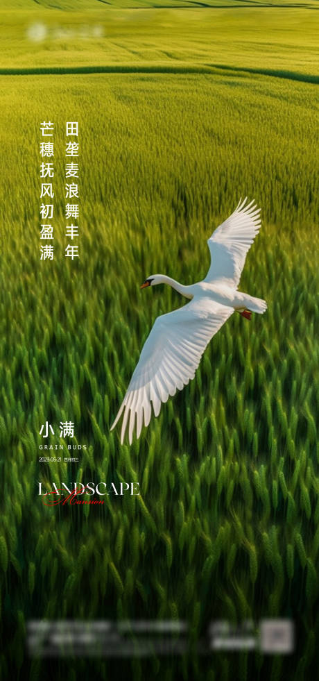 源文件下载【小满海报】编号：34870016728307695