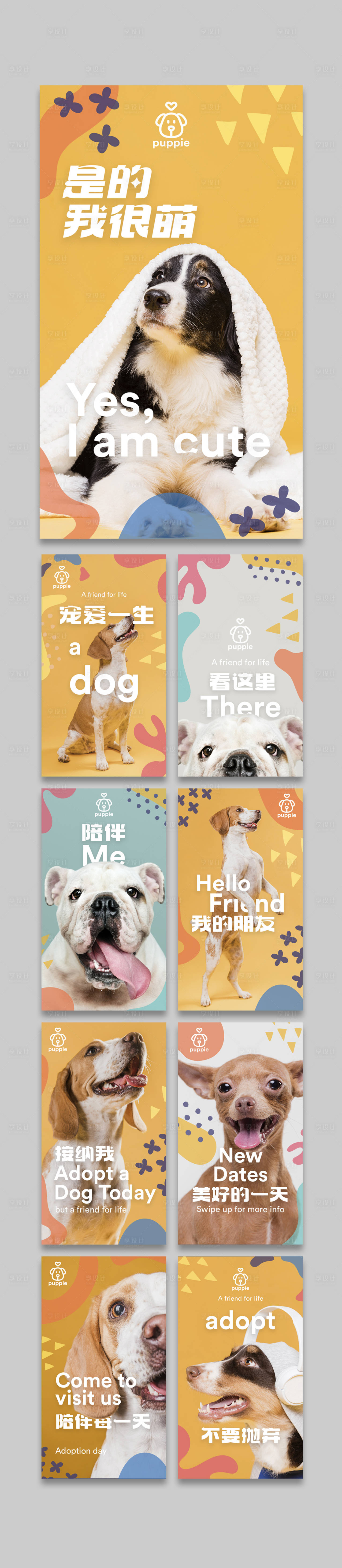 编号：20230518144443372【享设计】源文件下载-可爱萌宠物狗狗门店宣传海报
