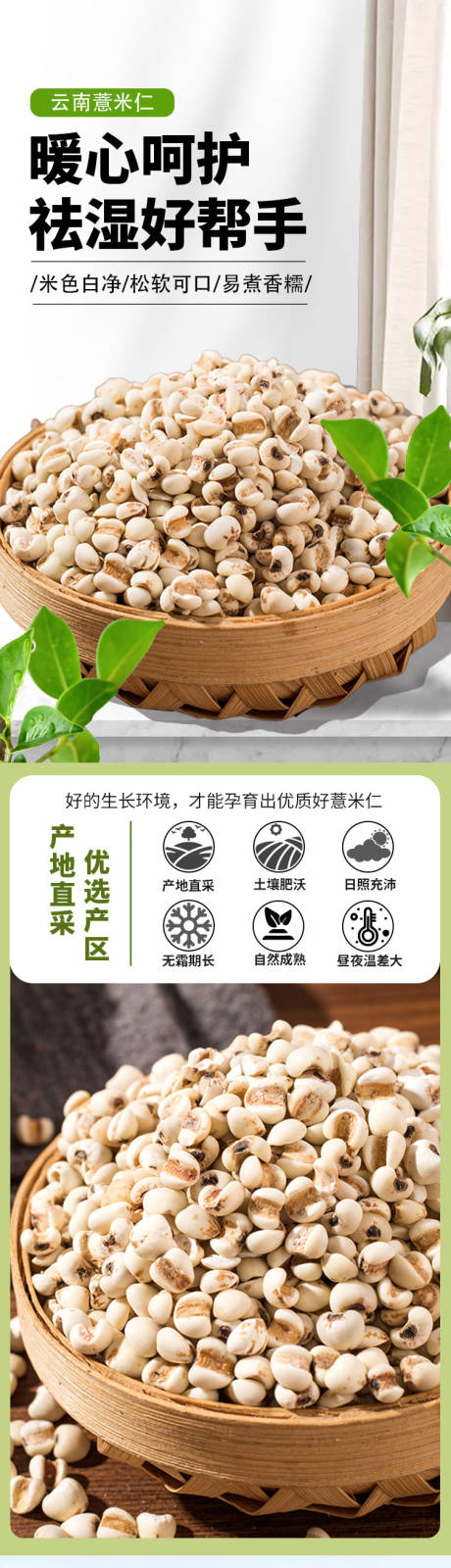 源文件下载【薏米仁详情页】编号：74190016727845098