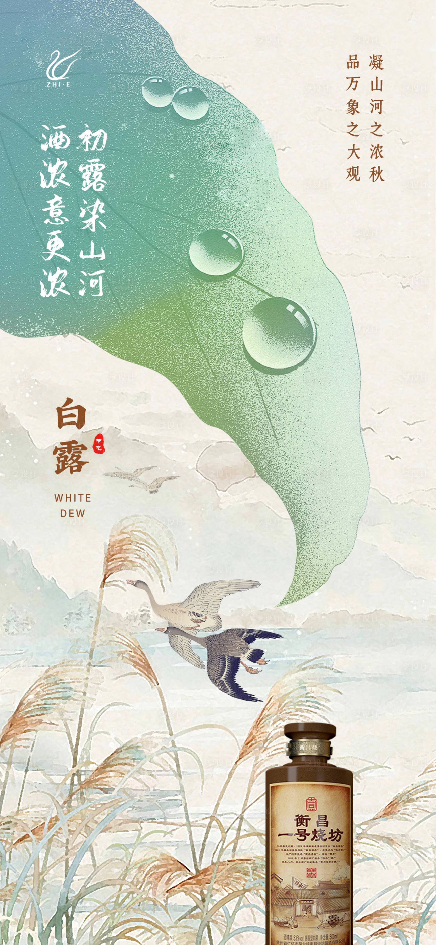 源文件下載【享設計】搜索編號：43240016975709281【白露海報】