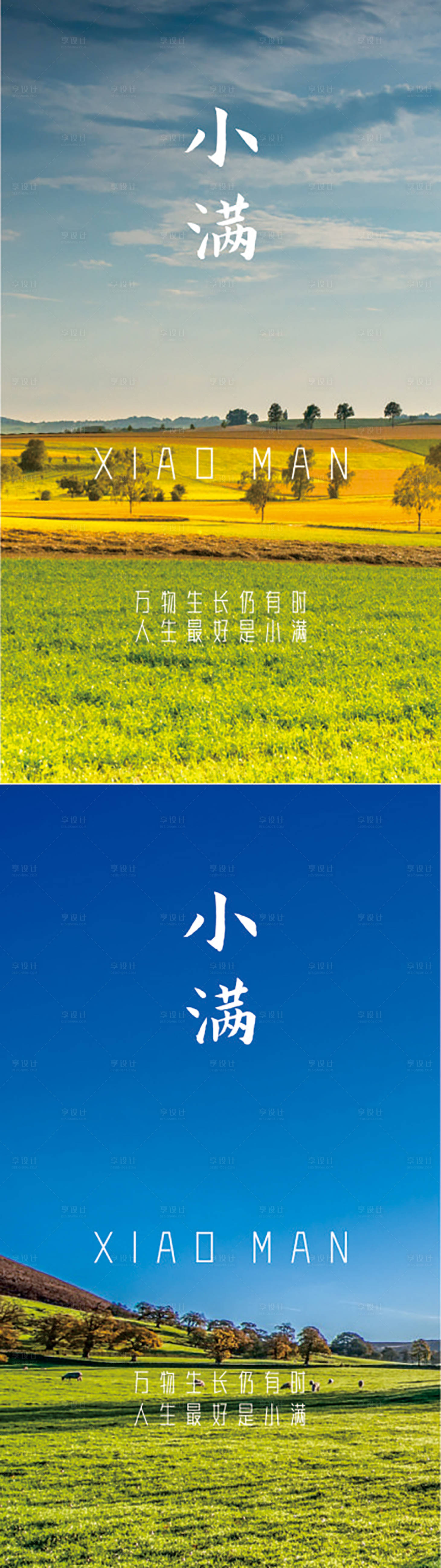 源文件下载【小满节气系列海报】编号：65070016594329625