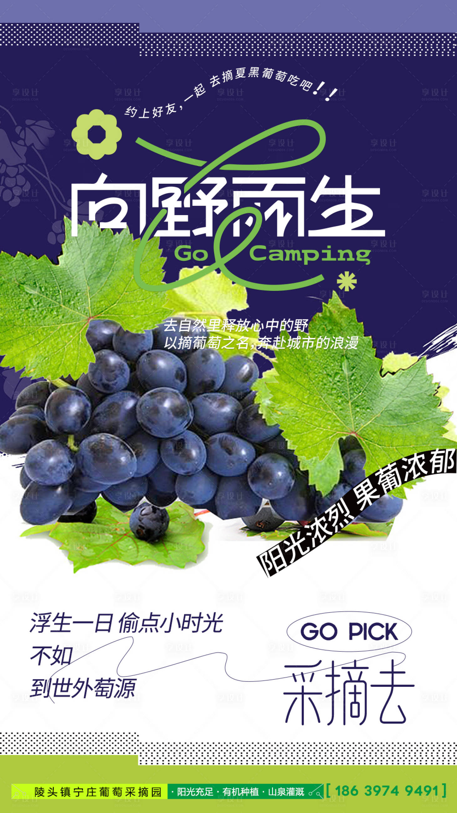 源文件下载【享设计】搜索编号：47710016986437384【水果海报】