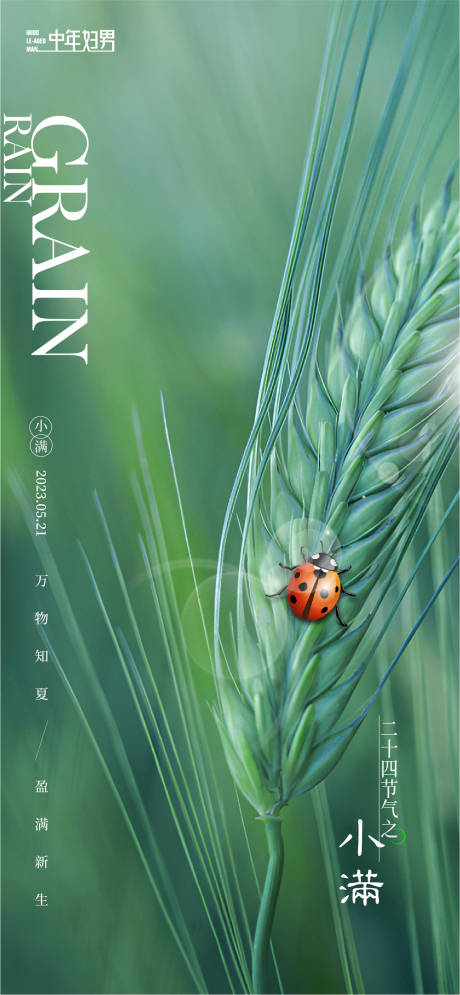 源文件下载【小满节气稿海报】编号：58840016656975134