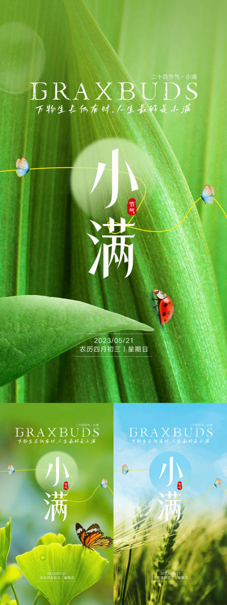 源文件下載【享設(shè)計(jì)】搜索編號(hào)：63680016746037690【小滿節(jié)氣系列海報(bào)】