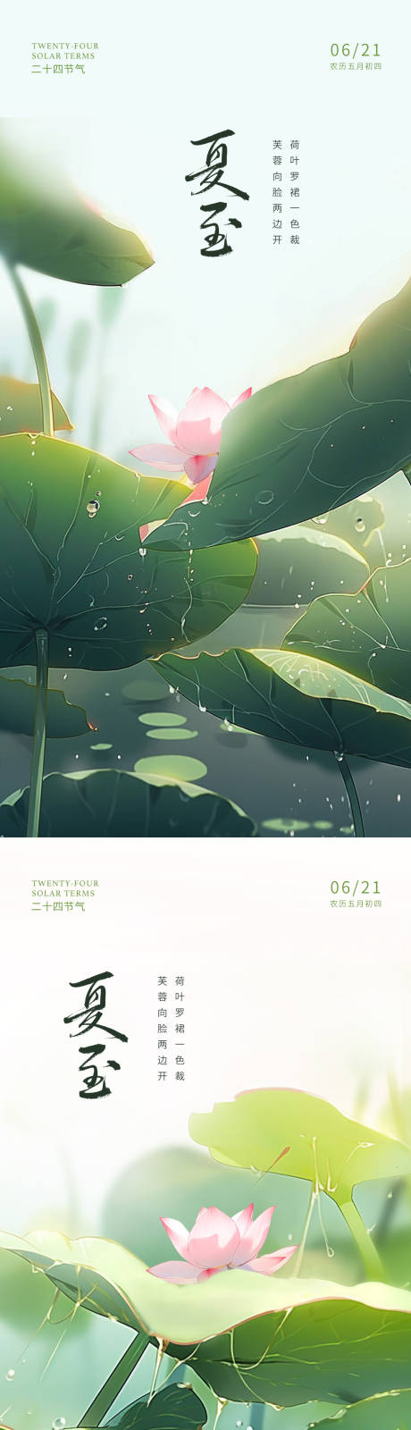 源文件下载【夏至荷花海报】编号：14510016660722938