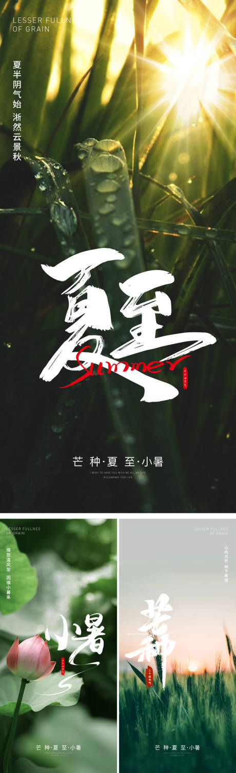 源文件下载【夏至 芒种 小暑节气海报】编号：65290017040507971