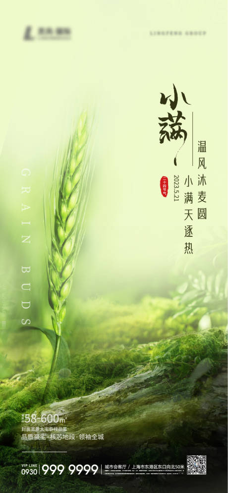 源文件下载【小满节气海报】编号：66960016737604238