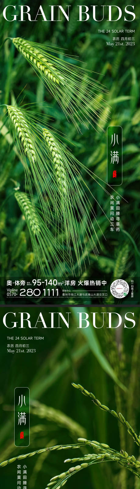 源文件下载【小满节气海报】编号：49630016763183135