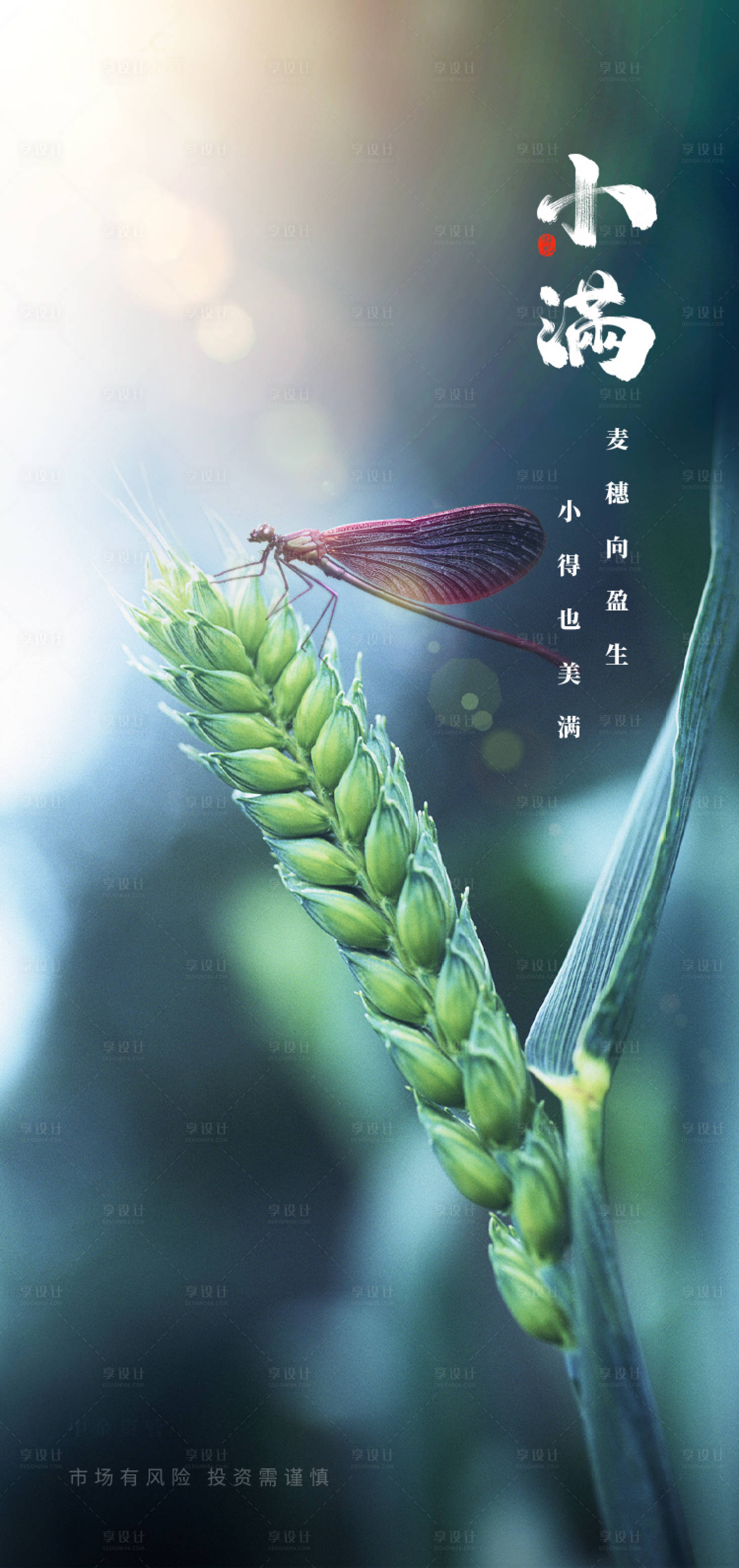 源文件下载【小满麦子海报】编号：76650016725096204