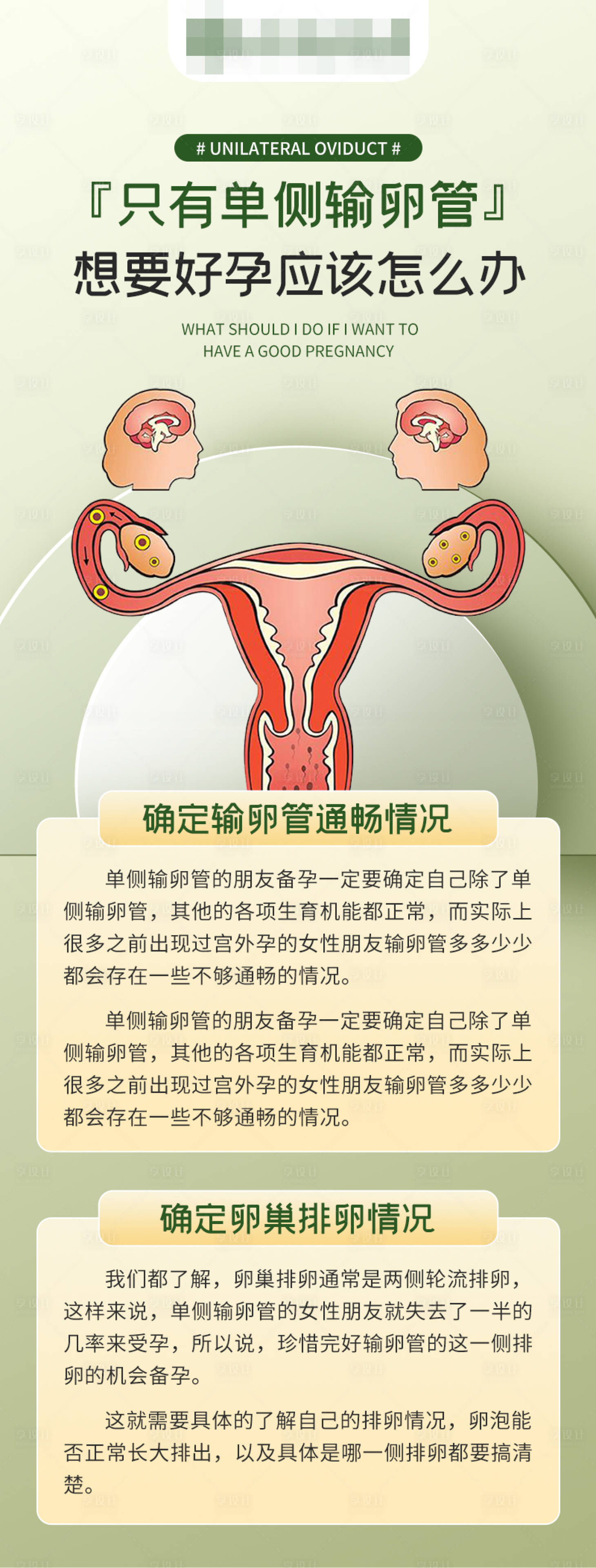 源文件下载【享设计】搜索编号：76130016674063213【妇科科普海报】