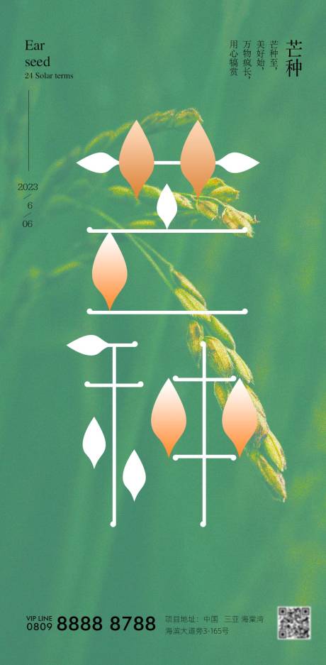 源文件下載【芒種節氣海報】編號：18350016901959209