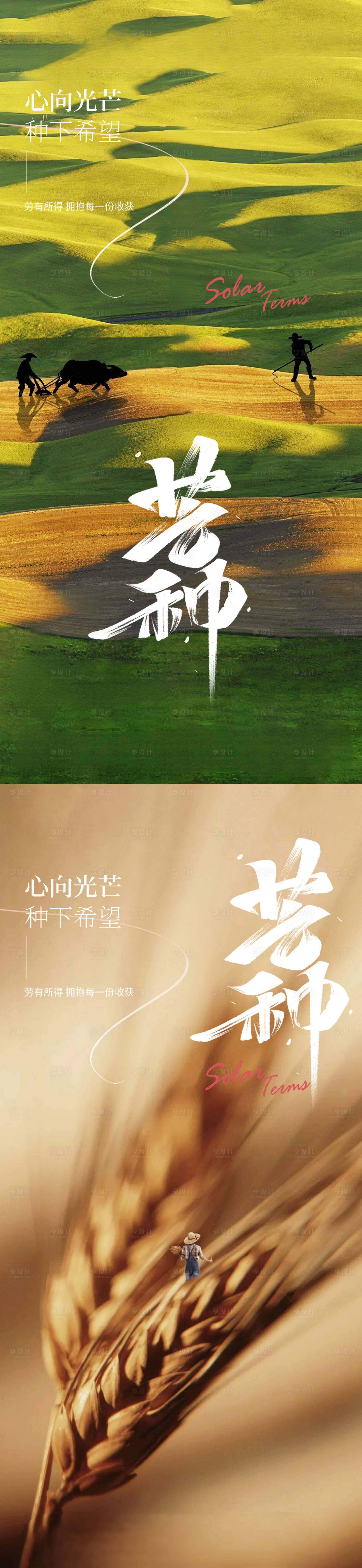 源文件下载【芒种节气系列海报】编号：61280016937132912