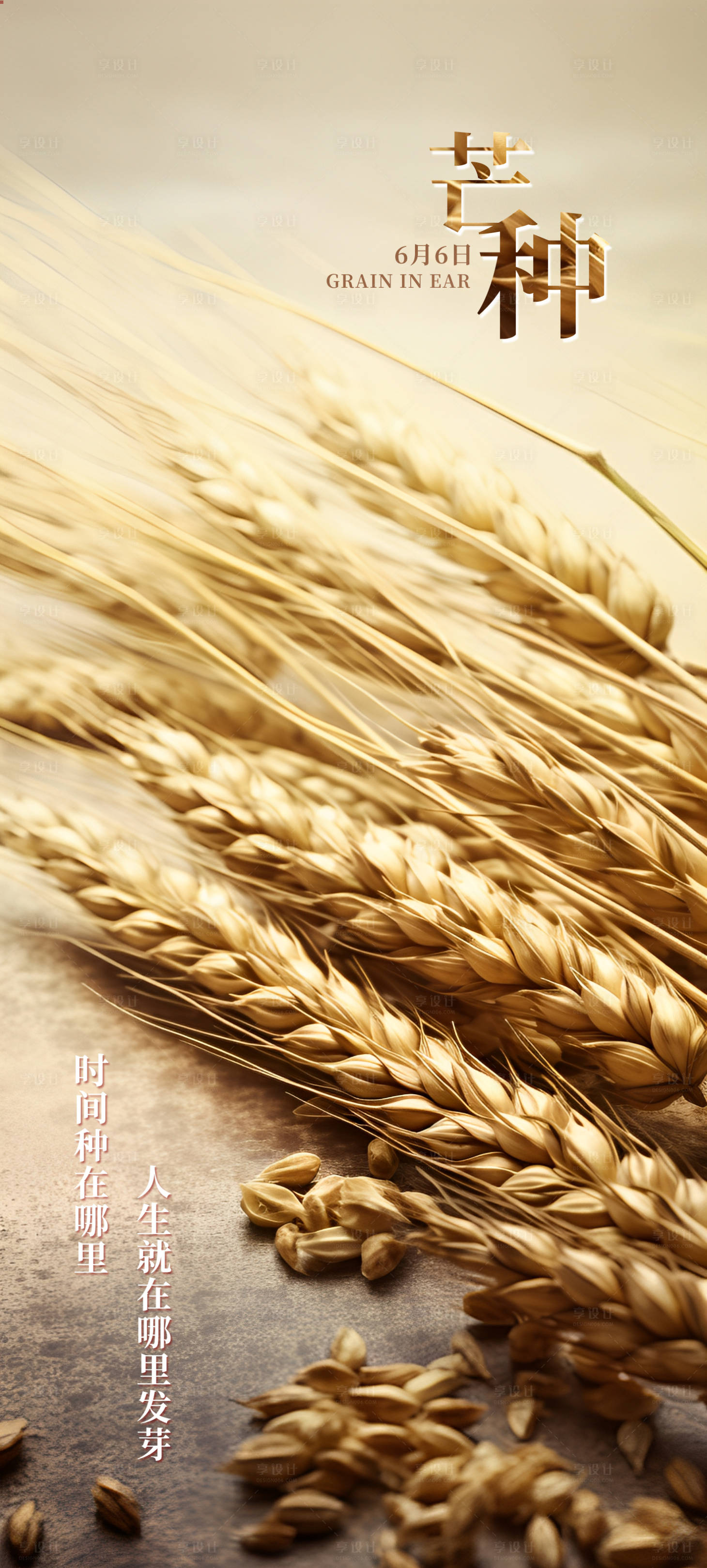 源文件下载【芒种节气海报】编号：45480017064976764