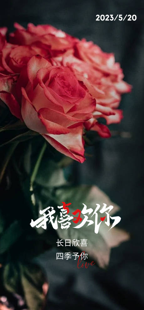 源文件下载【情人节玫瑰花我喜欢你海报】编号：55480016758677074