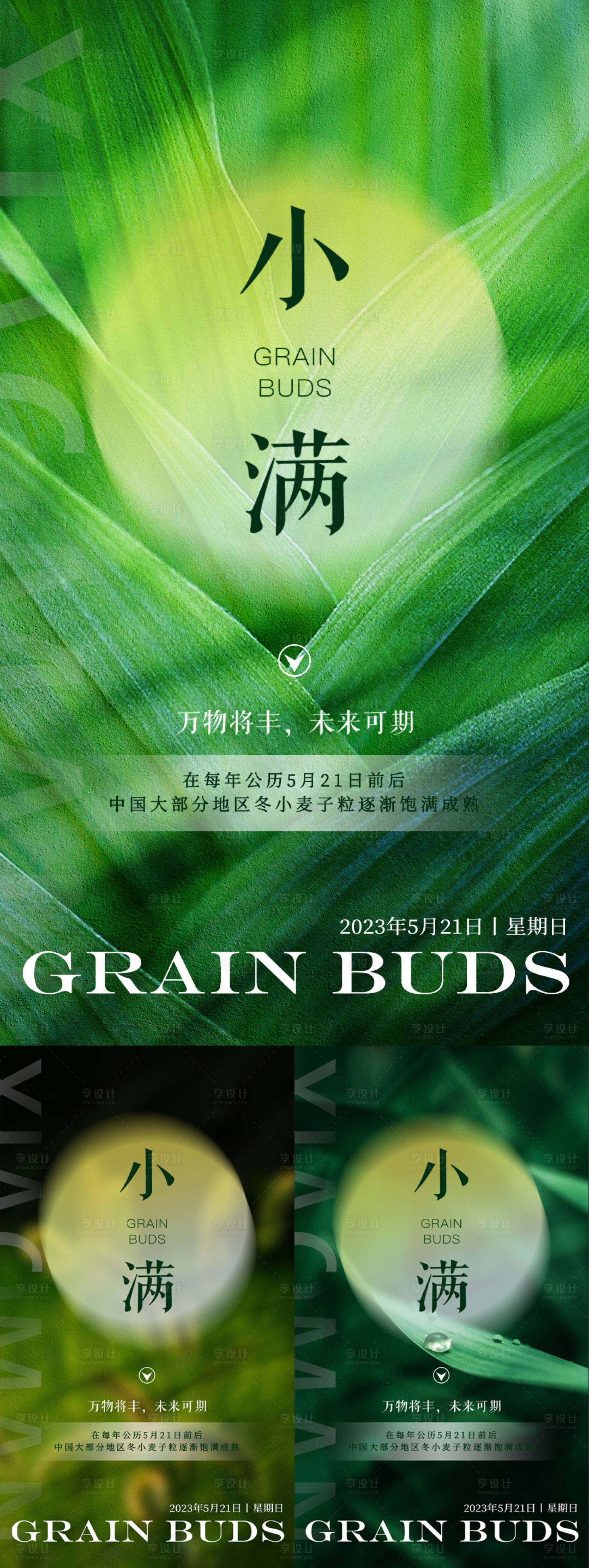 源文件下載【享設計】搜索編號：51970016639431226【小滿節氣系列海報】