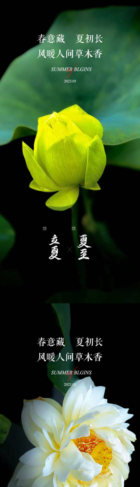 源文件下载【立夏夏至节气系列海报】编号：64280016420152411