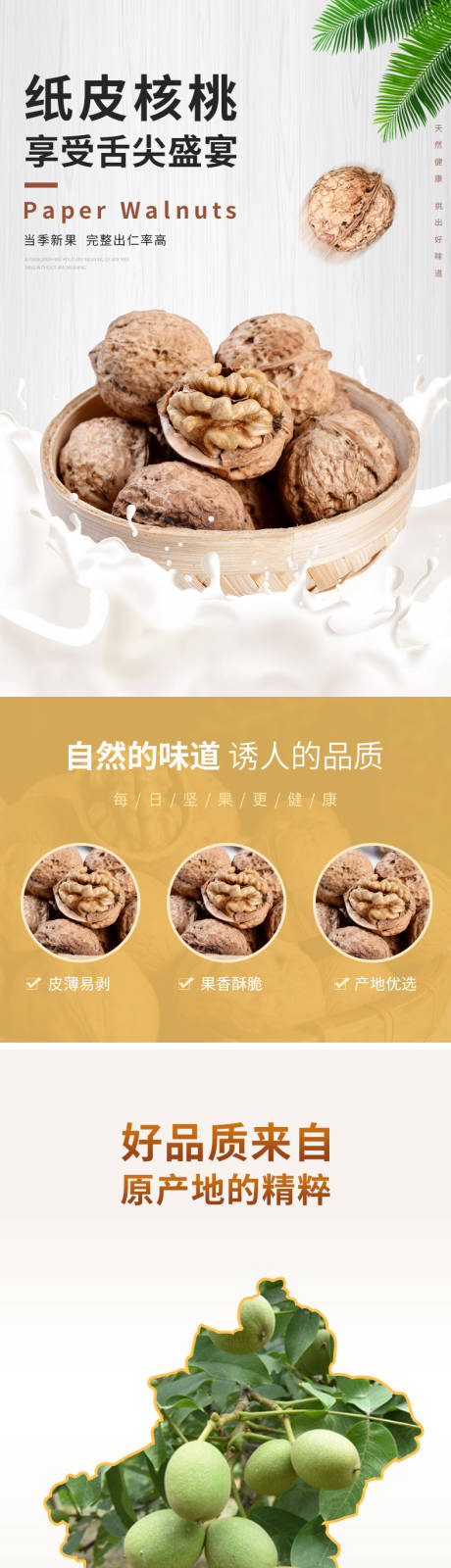 源文件下载【纸皮核桃介绍详情页】编号：62110016696654654