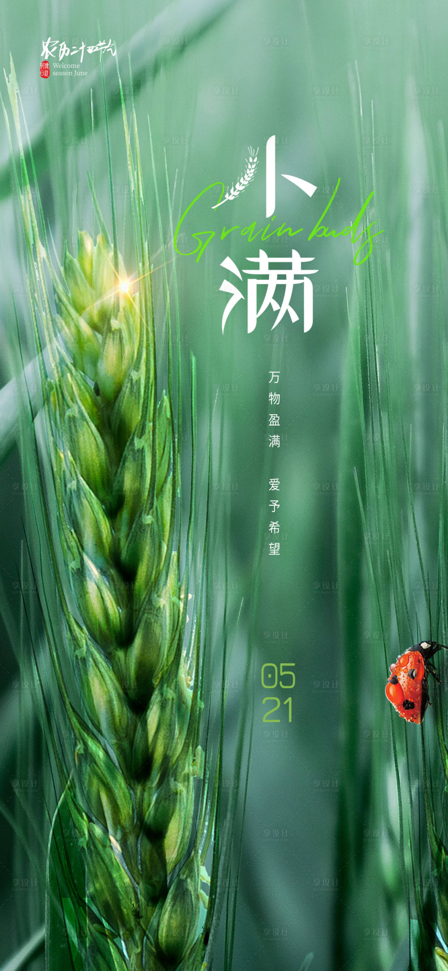 源文件下載【享設(shè)計(jì)】搜索編號：80860016451753485【小滿海報(bào)】