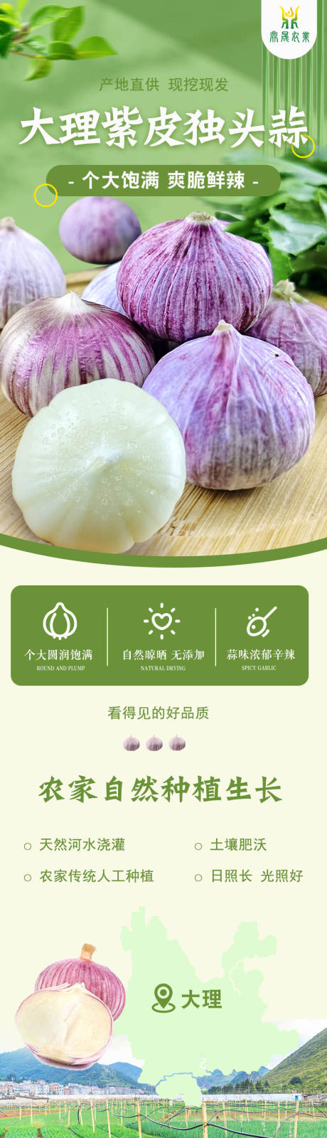 源文件下載【農產品大理紫皮獨頭大蒜詳情頁】編號：68920016941837770