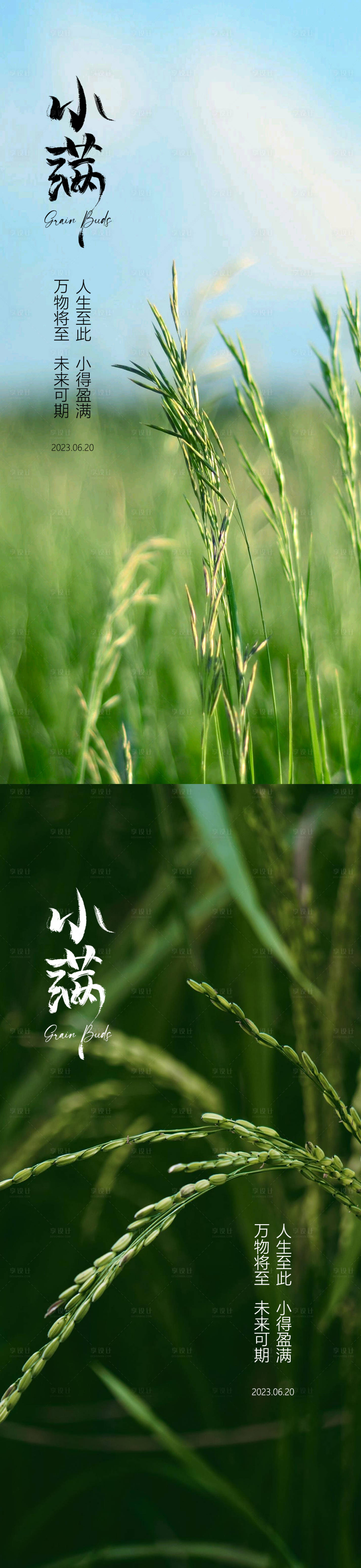 源文件下載【享設(shè)計(jì)】搜索編號(hào)：87410016536274839【小滿節(jié)氣系列海報(bào)】