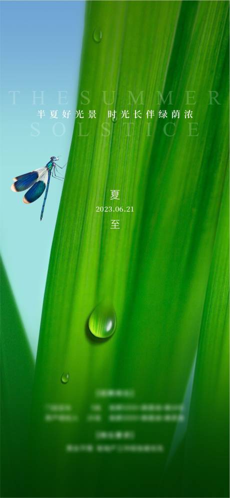 源文件下载【地产夏至二十四节气海报】编号：73020017066342189