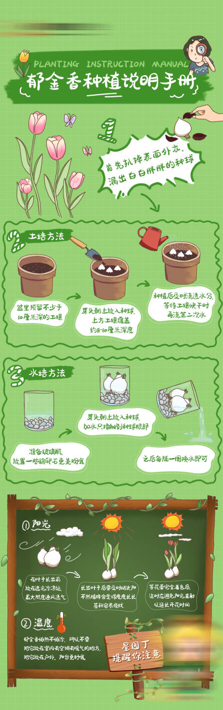 源文件下载【郁金香种植手册】编号：20230506105342038