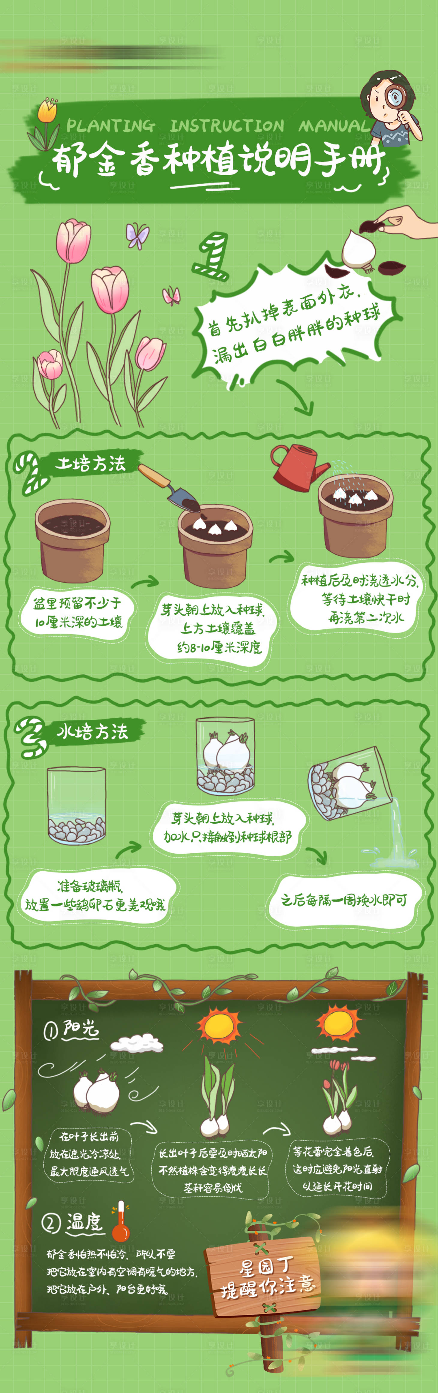源文件下载【郁金香种植手册】编号：15900016495954014