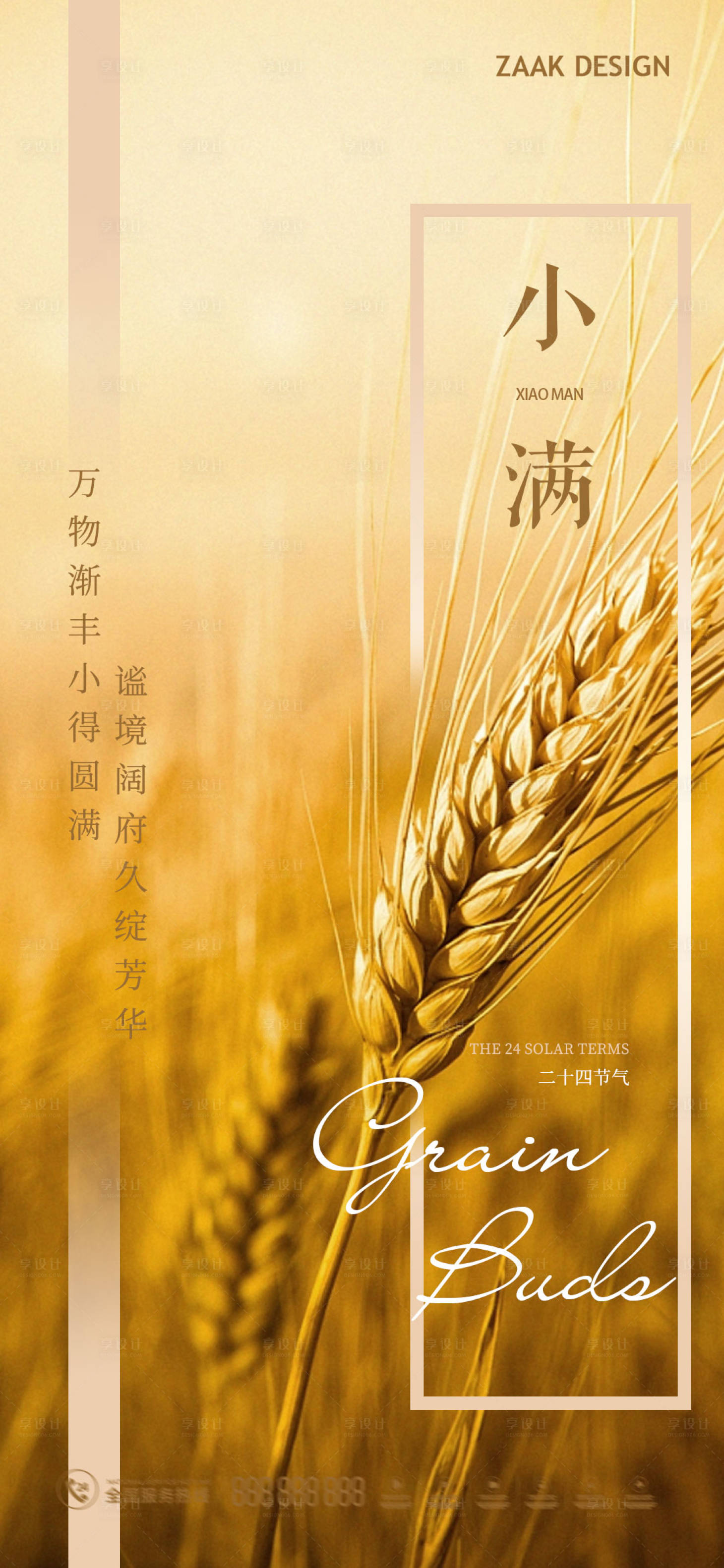 源文件下載【小滿節氣海報】編號：62490016508555060
