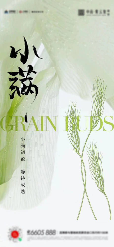 源文件下载【小满海报】编号：89750016791021698