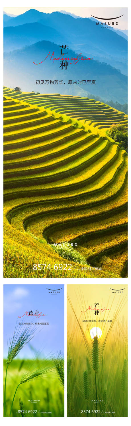 源文件下载【芒种海报】编号：53070016677726568