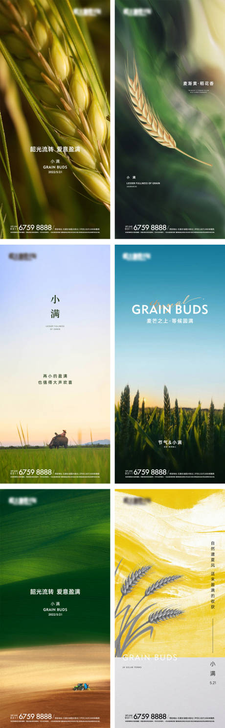 源文件下載【享設計】搜索編號：29840016703754833【地產小滿節氣系列單圖】