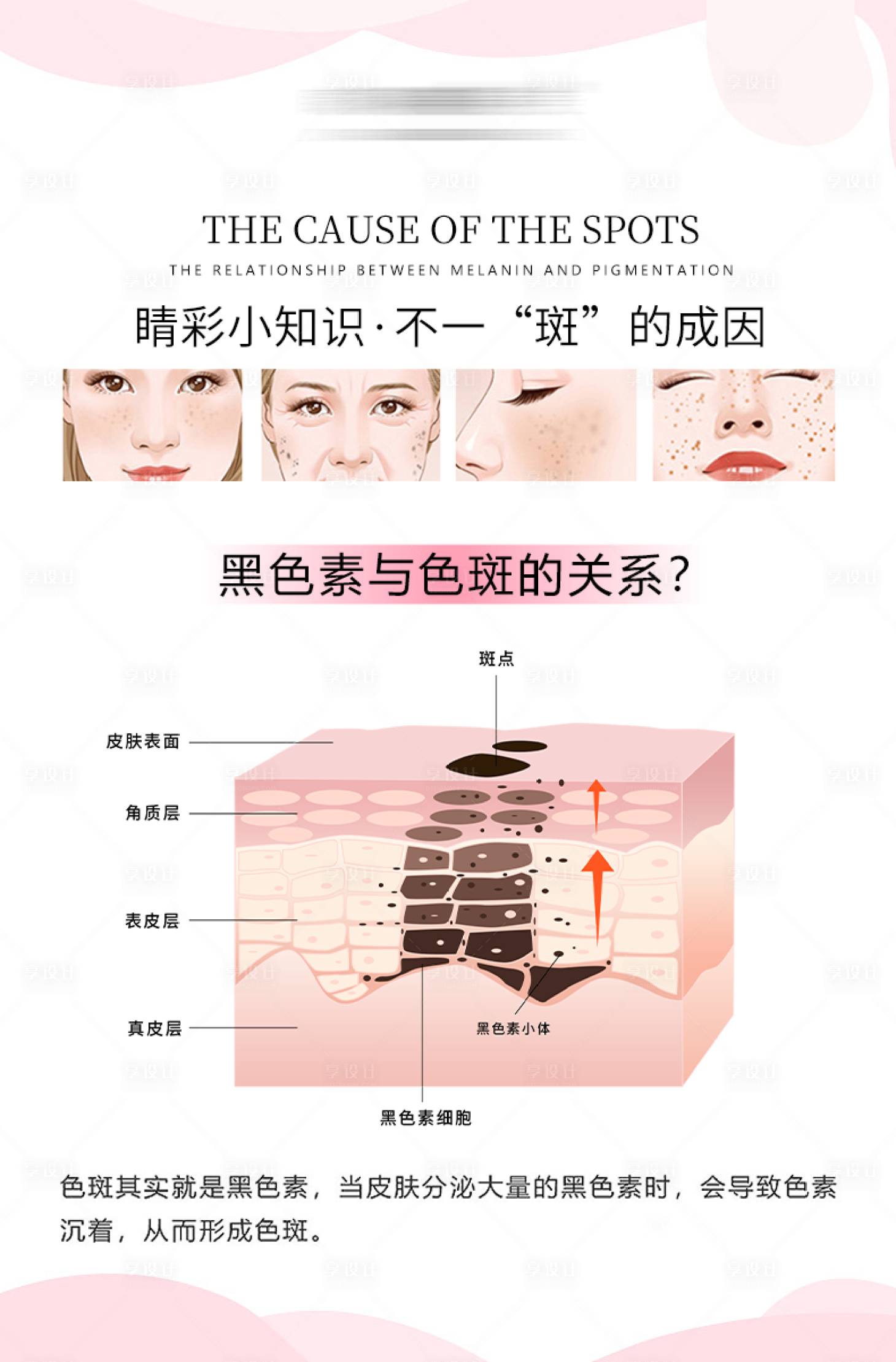 源文件下載【享設計】搜索編號：34710016587468456【黑色素與色斑海報】