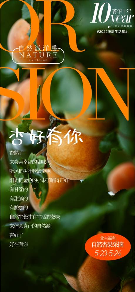 源文件下載【享設計】搜索編號：59390016562269633【杏子采摘活動海報】