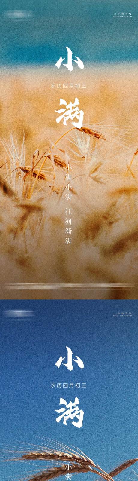 源文件下载【小满节气海报】编号：12870016636192821