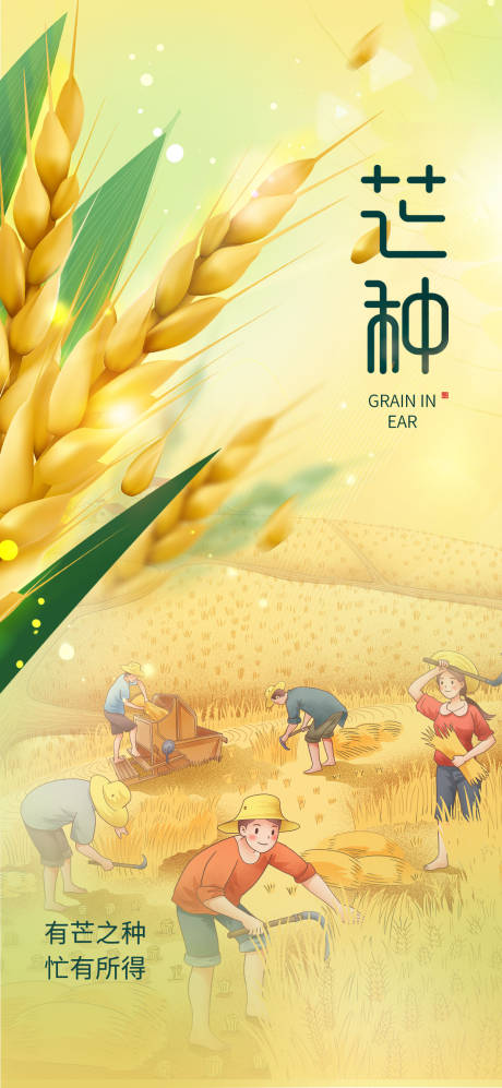 源文件下载【芒种海报】编号：25180016765088852
