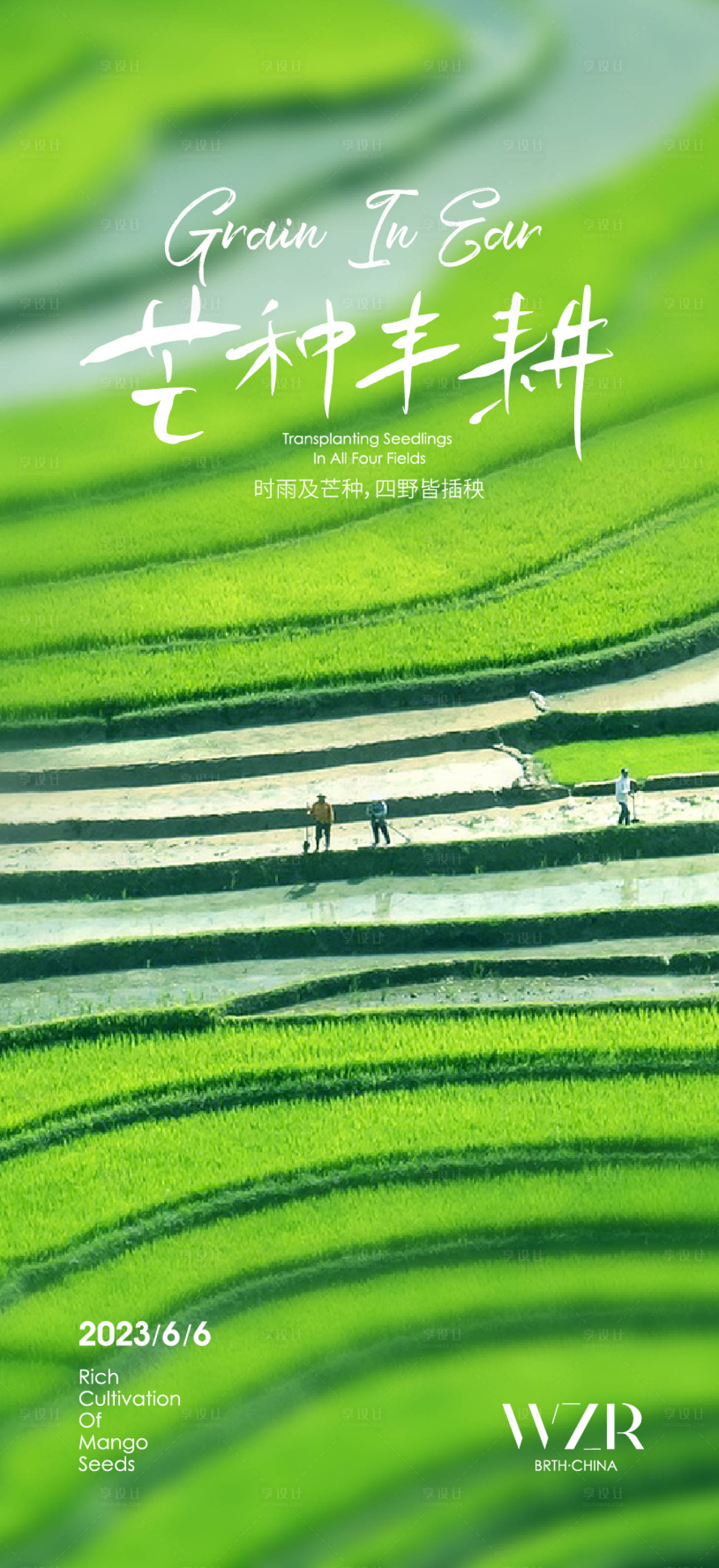 源文件下載【享設計】搜索編號：98380016763001324【芒種海報】