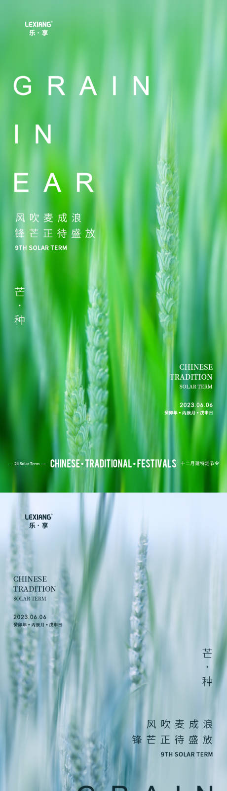 源文件下载【享设计】搜索编号：70410017043362852【芒种节气海报】