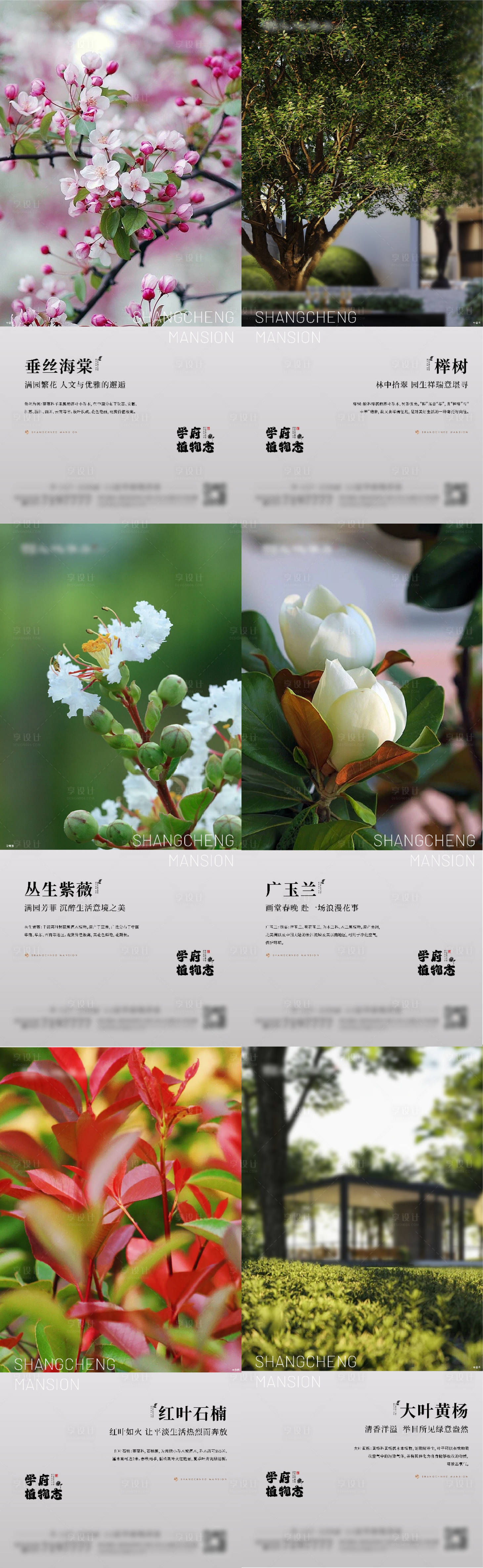 源文件下載【享設計】搜索編號：27120016804215833【園林價值海報】
