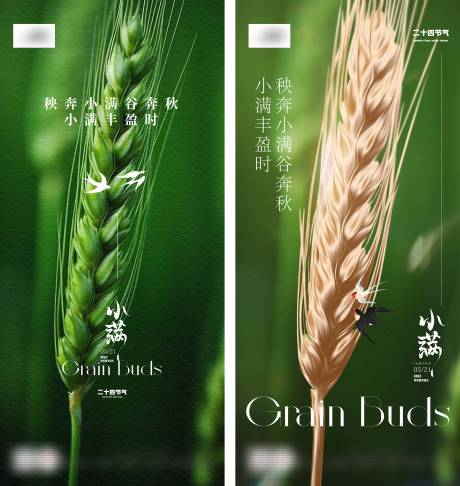 源文件下载【小满节气海报】编号：39650016757762502