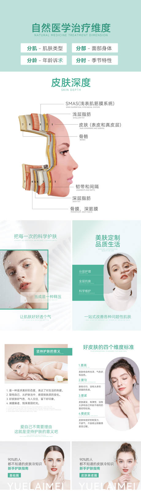源文件下载【皮肤结构科普系列】编号：25840017002804822