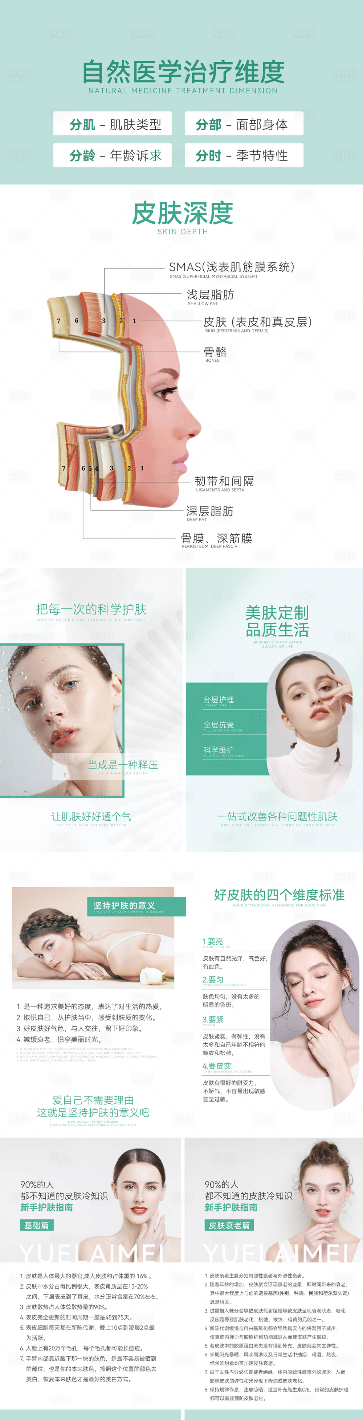 源文件下載【享設計】搜索編號：25840017002804822【皮膚結構科普系列】