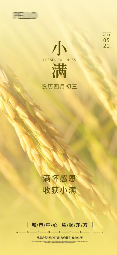 源文件下载【小满节气海报】编号：48530016780759462